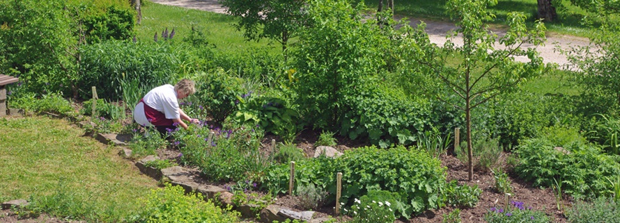 Kräutergarten am Hotel Forstmeister bei Eibenstock