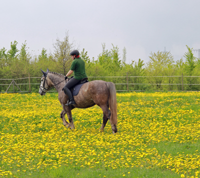 Kräutermanufaktur Erzgebirge_Reiten