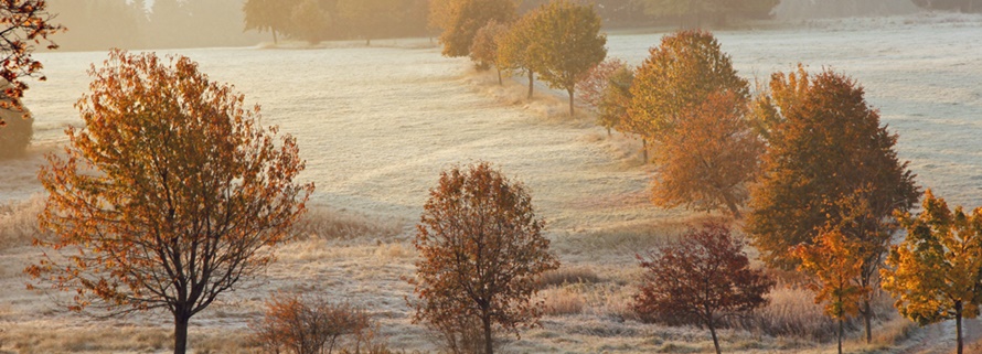 Winterlandschaft am Forstmeister